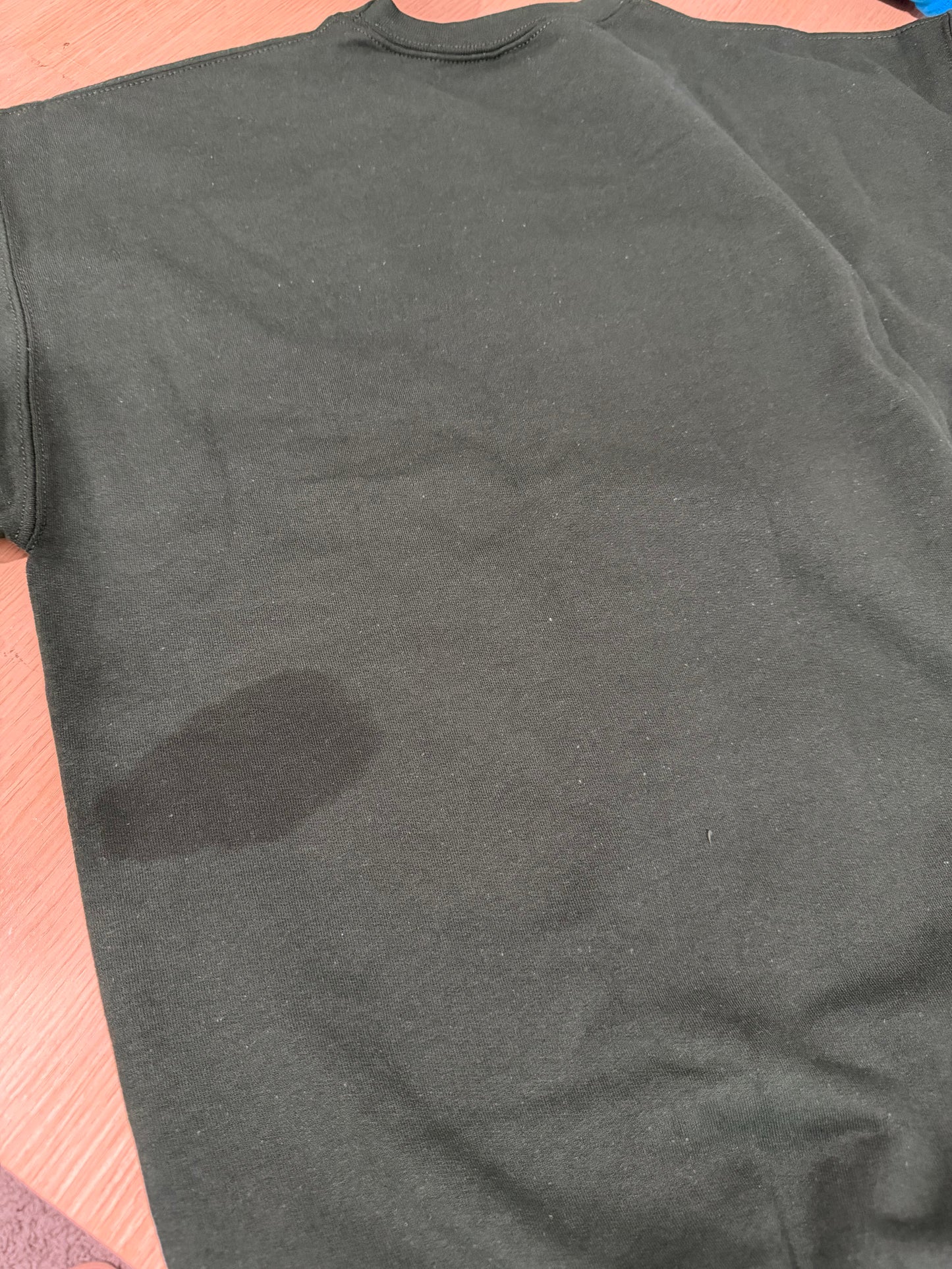 Beverly Hills Troop Sweatshirt (Sale)